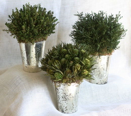 Desiray Garden Vases (Set of Three)
